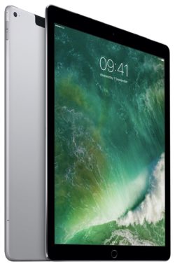 iPad Pro 12 Inch Space Grey Tablet - 256GB.